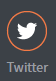 twitter element symbol